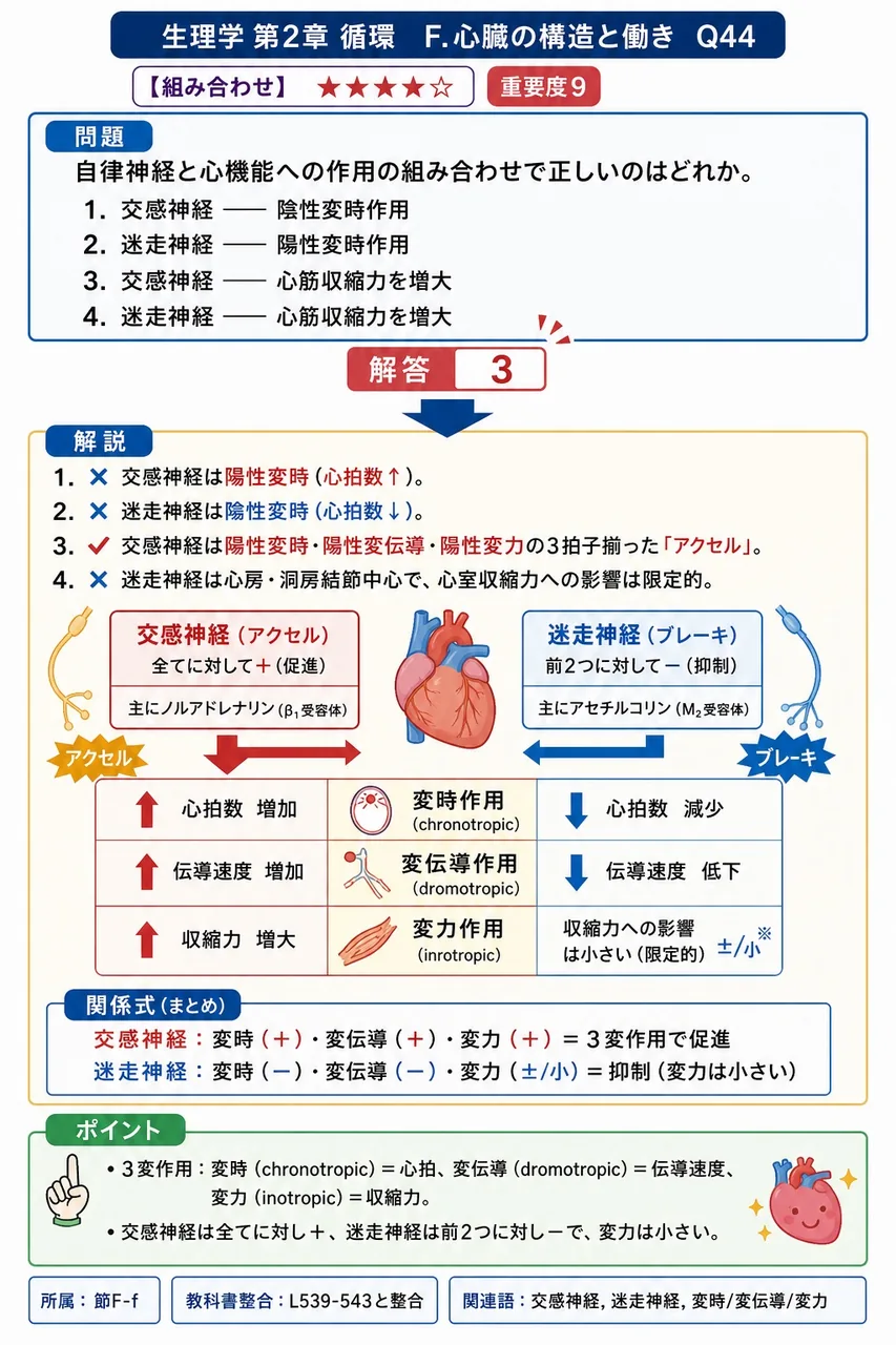 自律神経と心機能への作用の組み合わせで正しいのはどれか。 解説図
