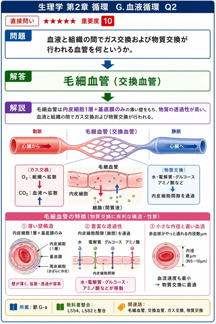 血液と組織の間でガス交換および物質交換が行われる血管を何というか。 解説図