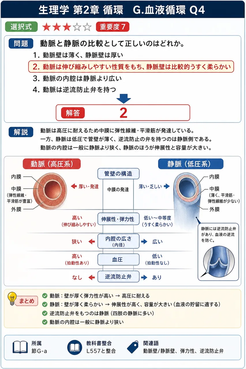 動脈と静脈の比較として正しいのはどれか。 解説図