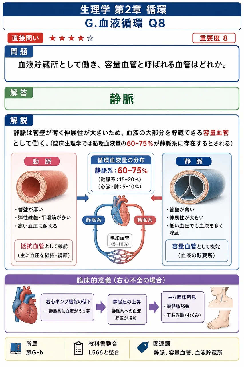 血液貯蔵所として働き、容量血管と呼ばれる血管はどれか。 解説図