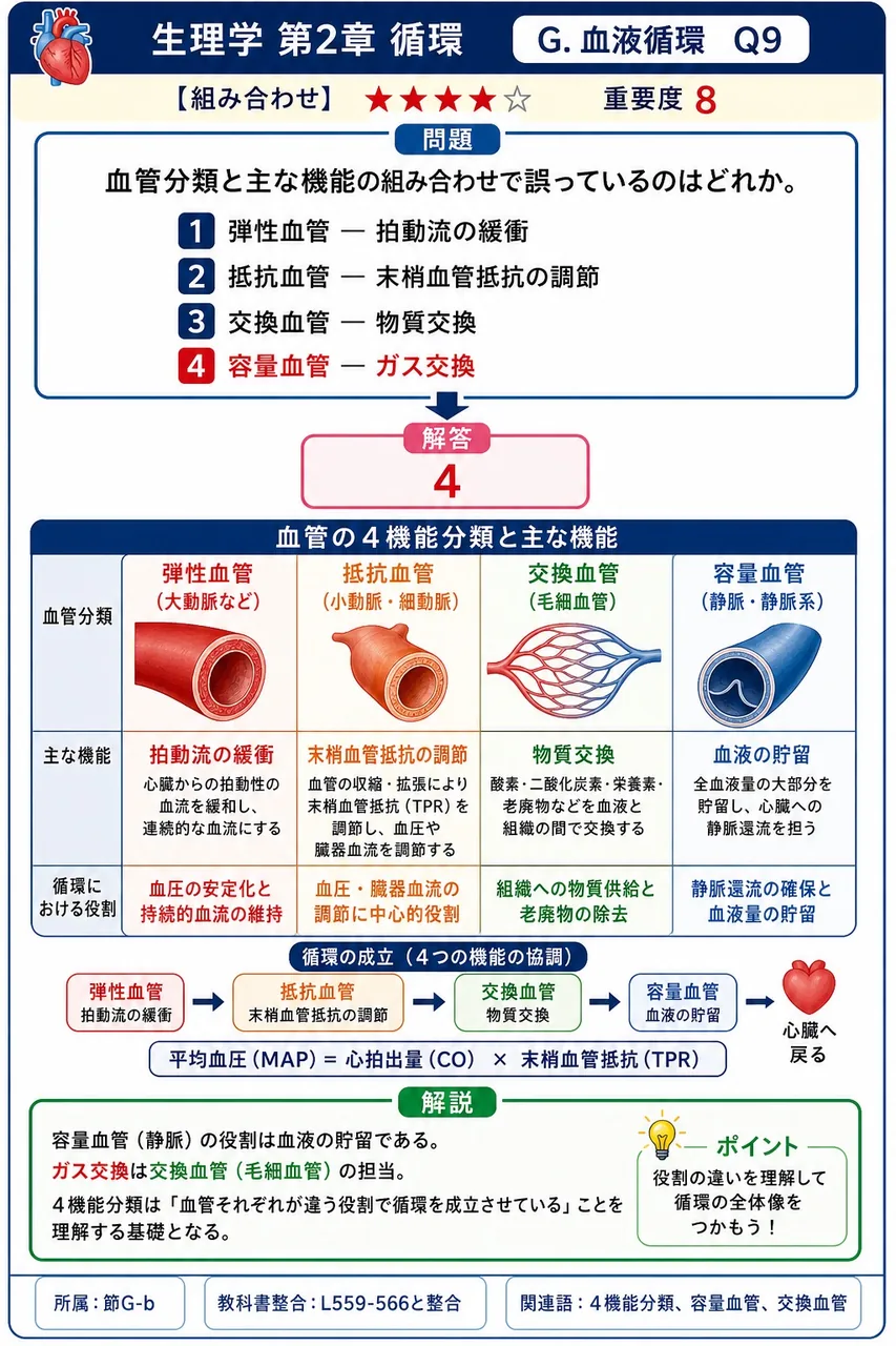 血管分類と主な機能の組み合わせで誤っているのはどれか。 解説図