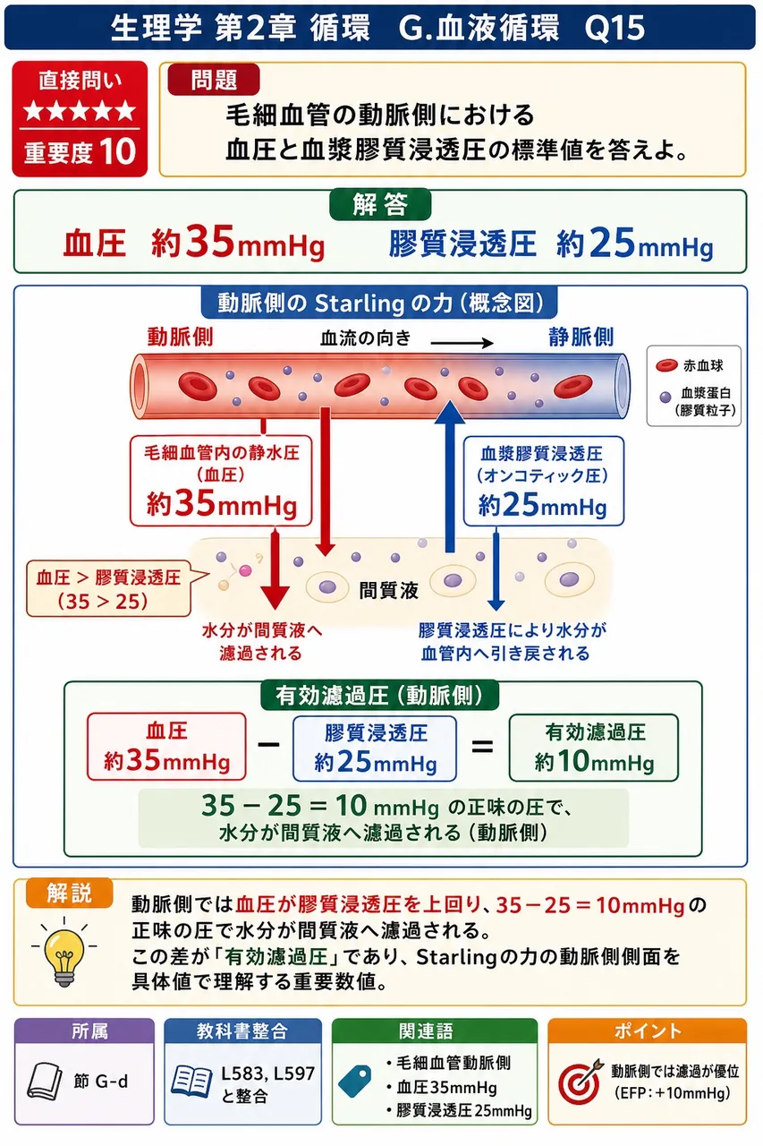 毛細血管の動脈側における血圧と血漿膠質浸透圧の標準値を答えよ。 解説図