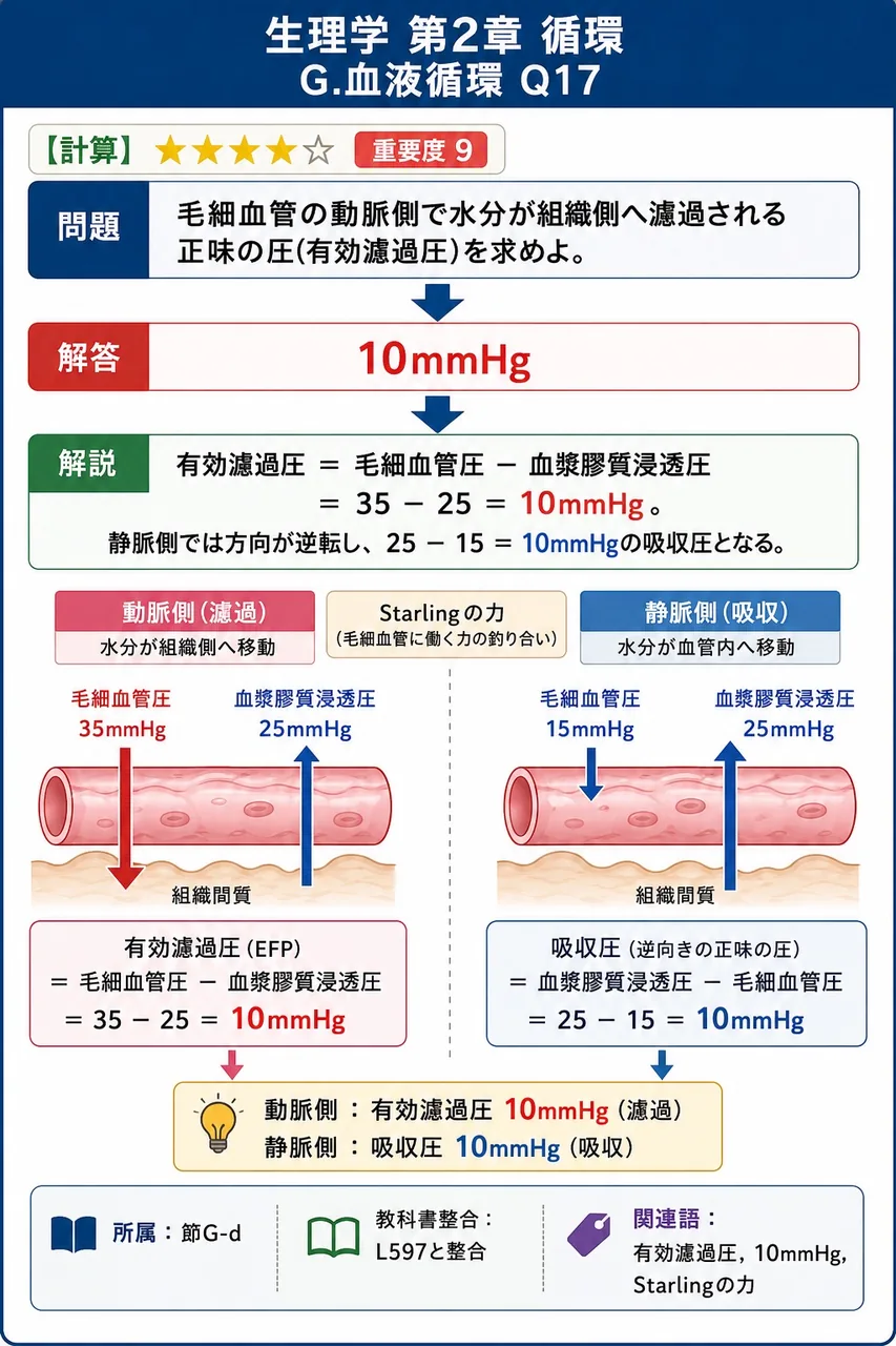 毛細血管の動脈側で水分が組織側へ濾過される正味の圧(有効濾過圧)を求めよ。 解説図