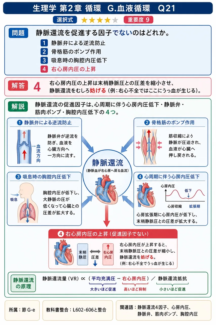 静脈還流を促進する因子でないのはどれか。 解説図