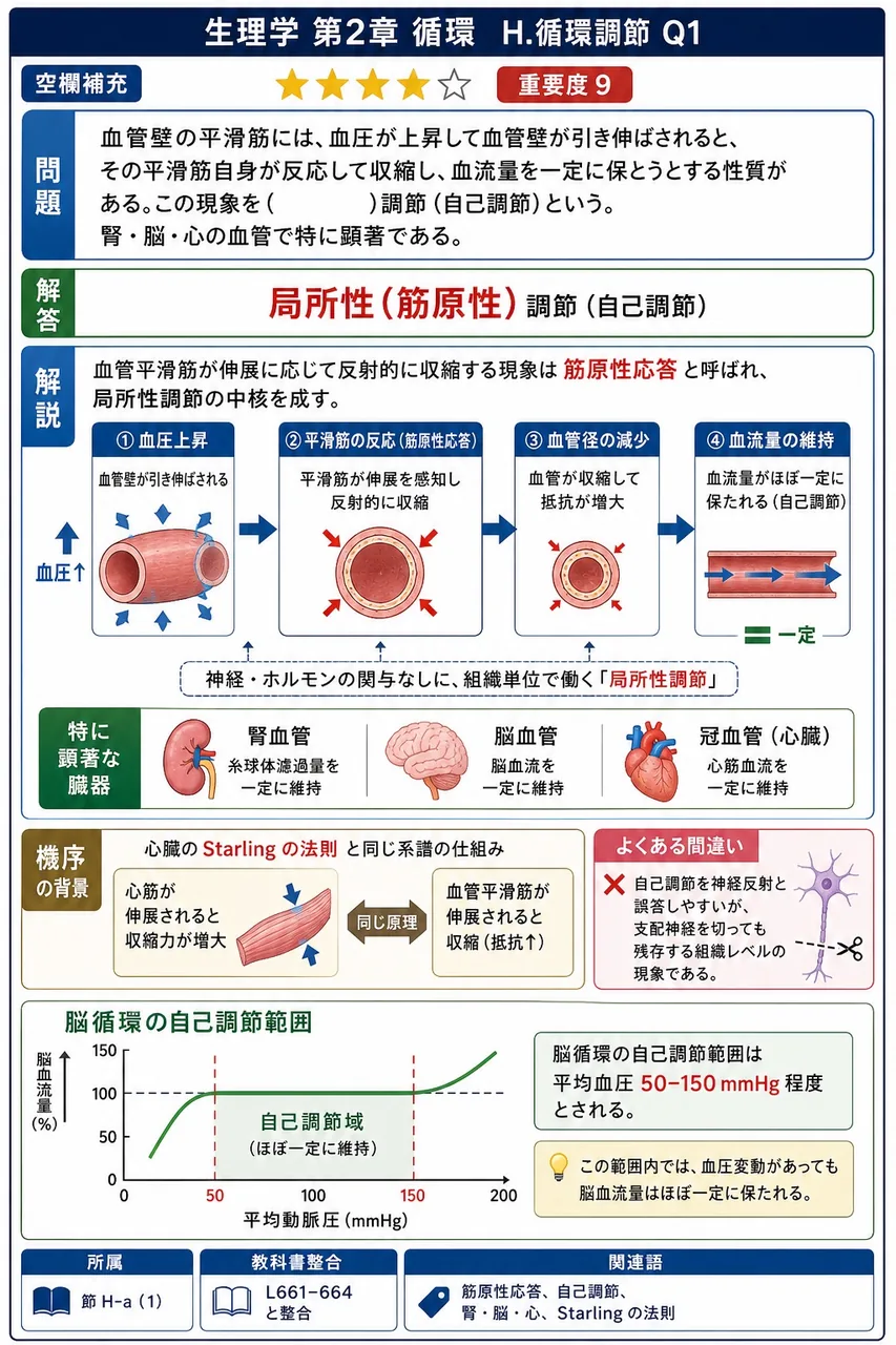 血管壁の平滑筋には、血圧が上昇して血管壁が引き伸ばされると、その平滑筋自身が反応して収縮し、血流量を一定に保とうとする性質がある。この現象を( )調節(自己調節)という。腎・脳・心の血管で特に顕著である。 解説図