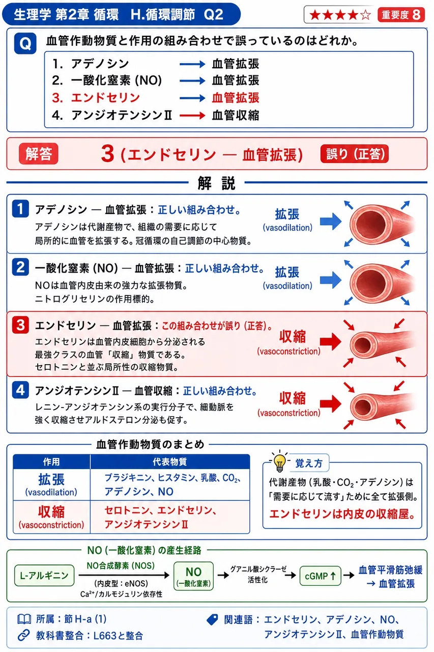血管作動物質と作用の組み合わせで誤っているのはどれか。 解説図