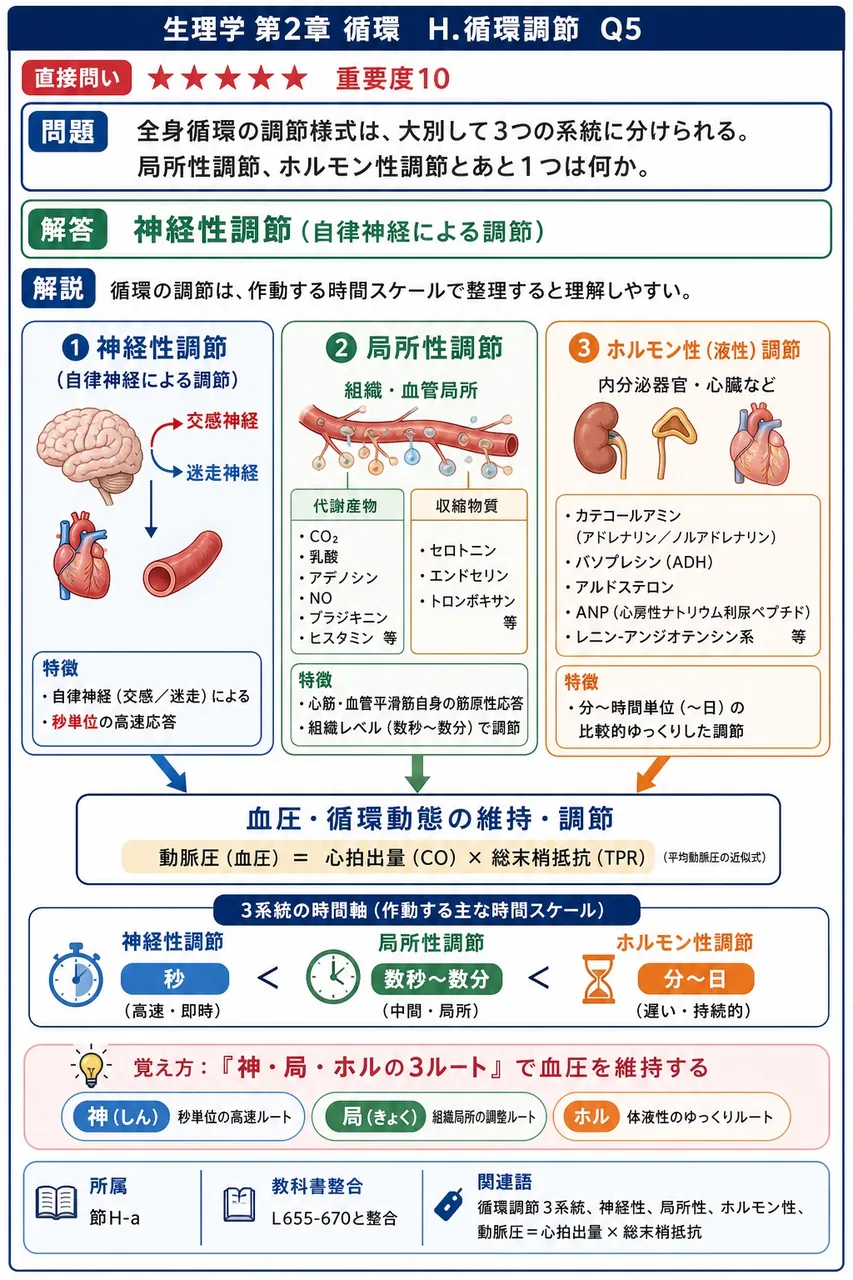 全身循環の調節様式は、大別して3つの系統に分けられる。局所性調節、ホルモン性調節とあと1つは何か。 解説図