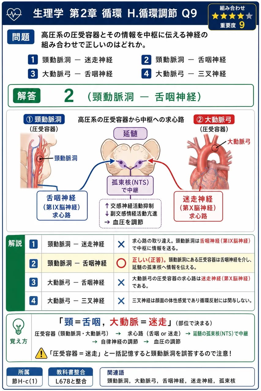 高圧系の圧受容器とその情報を中枢に伝える神経の組み合わせで正しいのはどれか。 解説図