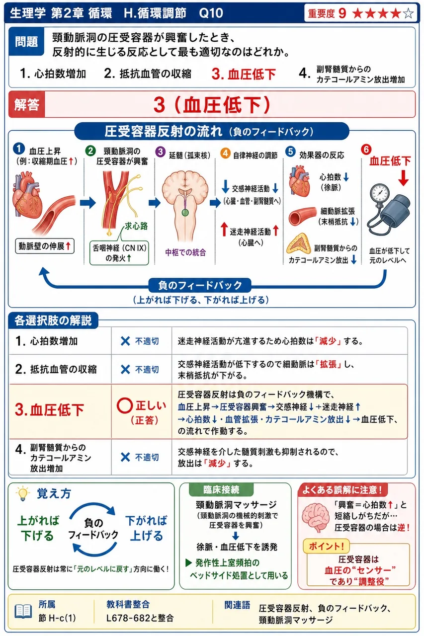 頸動脈洞の圧受容器が興奮したとき、反射的に生じる反応として最も適切なのはどれか。 解説図