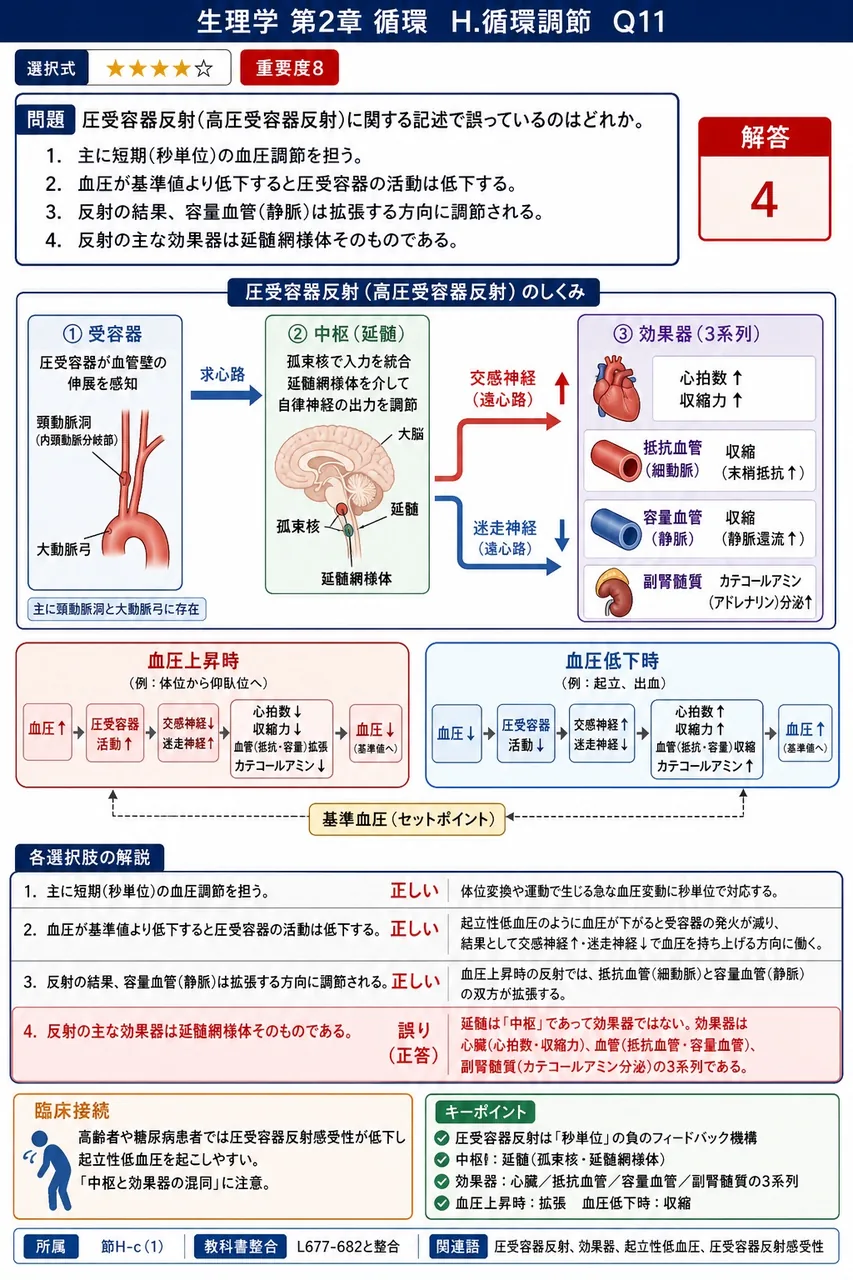 圧受容器反射(高圧受容器反射)に関する記述で誤っているのはどれか。 解説図