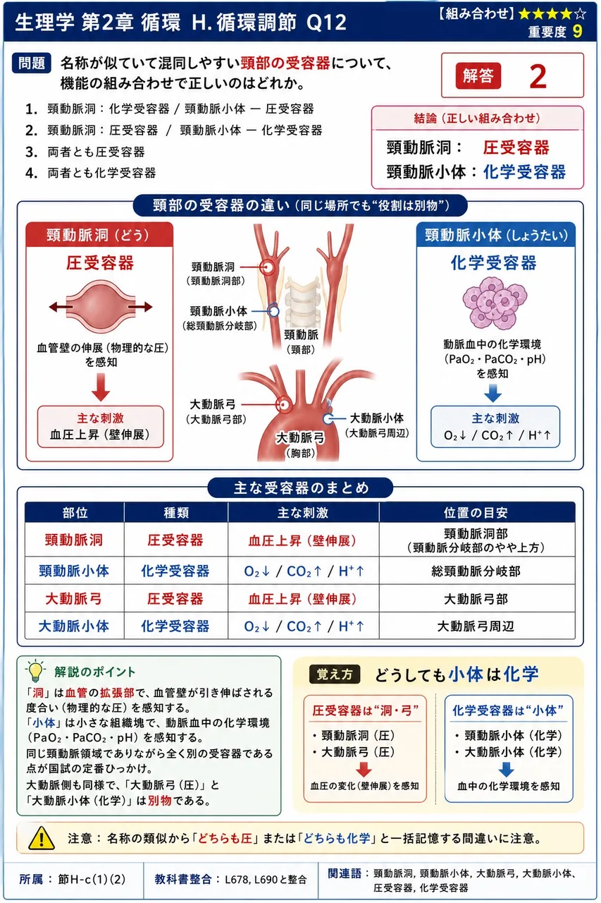 名称が似ていて混同しやすい頸部の受容器について、機能の組み合わせで正しいのはどれか。 解説図