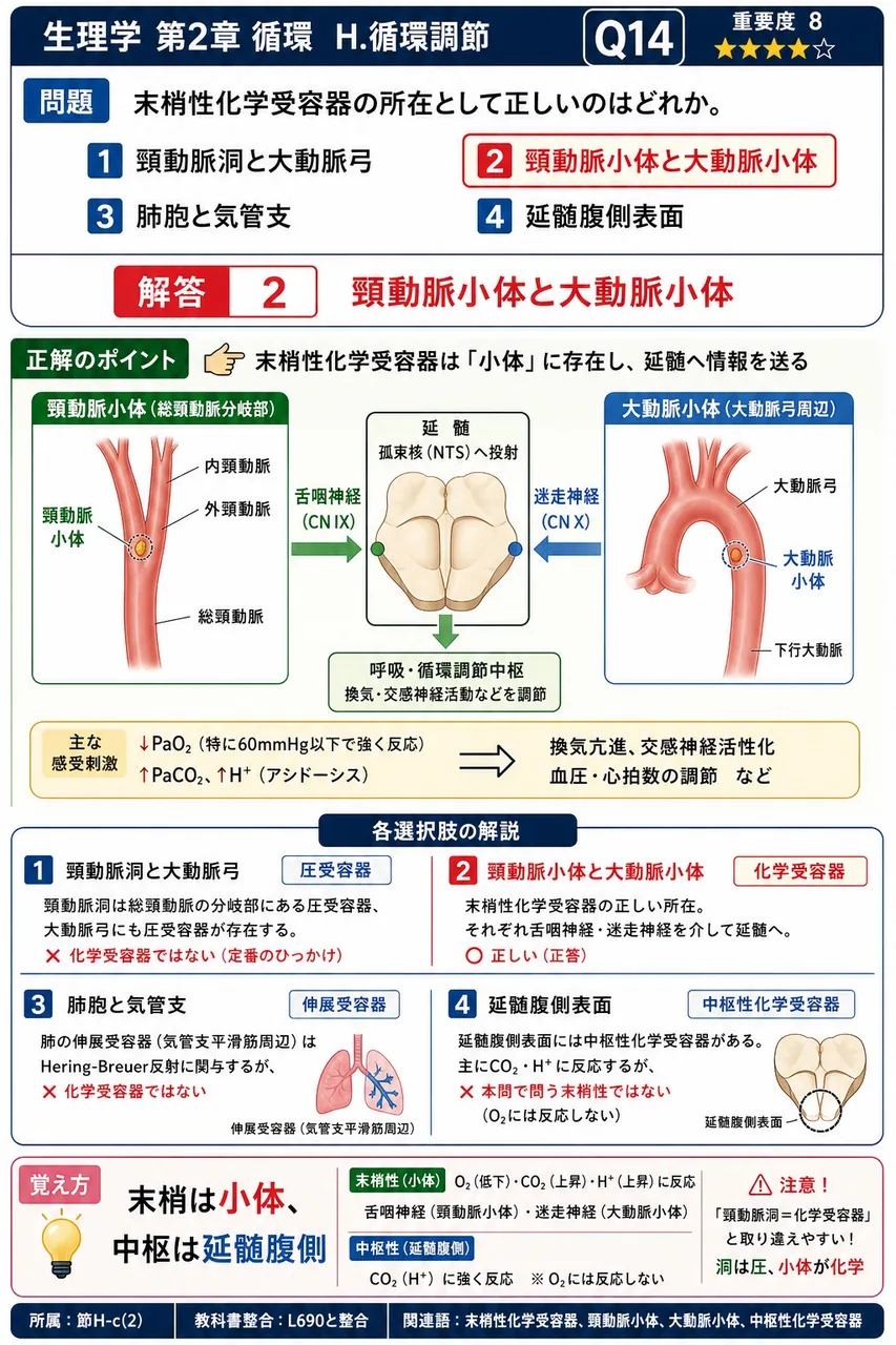 末梢性化学受容器の所在として正しいのはどれか。 解説図