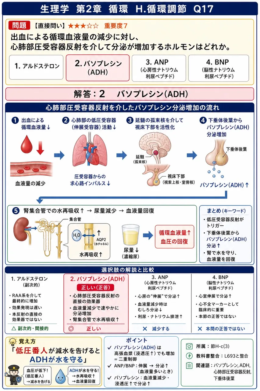 出血による循環血液量の減少に対し、心肺部圧受容器反射を介して分泌が増加するホルモンはどれか。 解説図