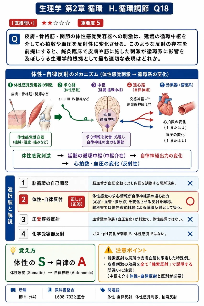 皮膚・骨格筋・関節の体性感覚受容器への刺激は、延髄の循環中枢を介して心拍数や血圧を反射性に変化させる。このような反射の存在を前提にすると、鍼灸臨床で皮膚や筋に施した刺激が循環系に影響を及ぼしうる生理学的根拠として最も適切な表現はどれか。 解説図