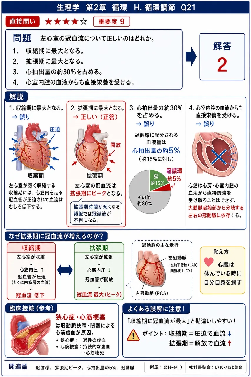左心室の冠血流について正しいのはどれか。 解説図