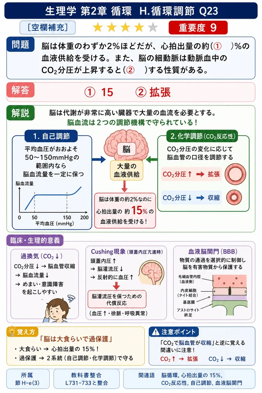 脳は体重のわずか2%ほどだが、心拍出量の約(① )%の血液供給を受ける。また、脳の細動脈は動脈血中のCO₂分圧が上昇すると(② )する性質がある。 解説図