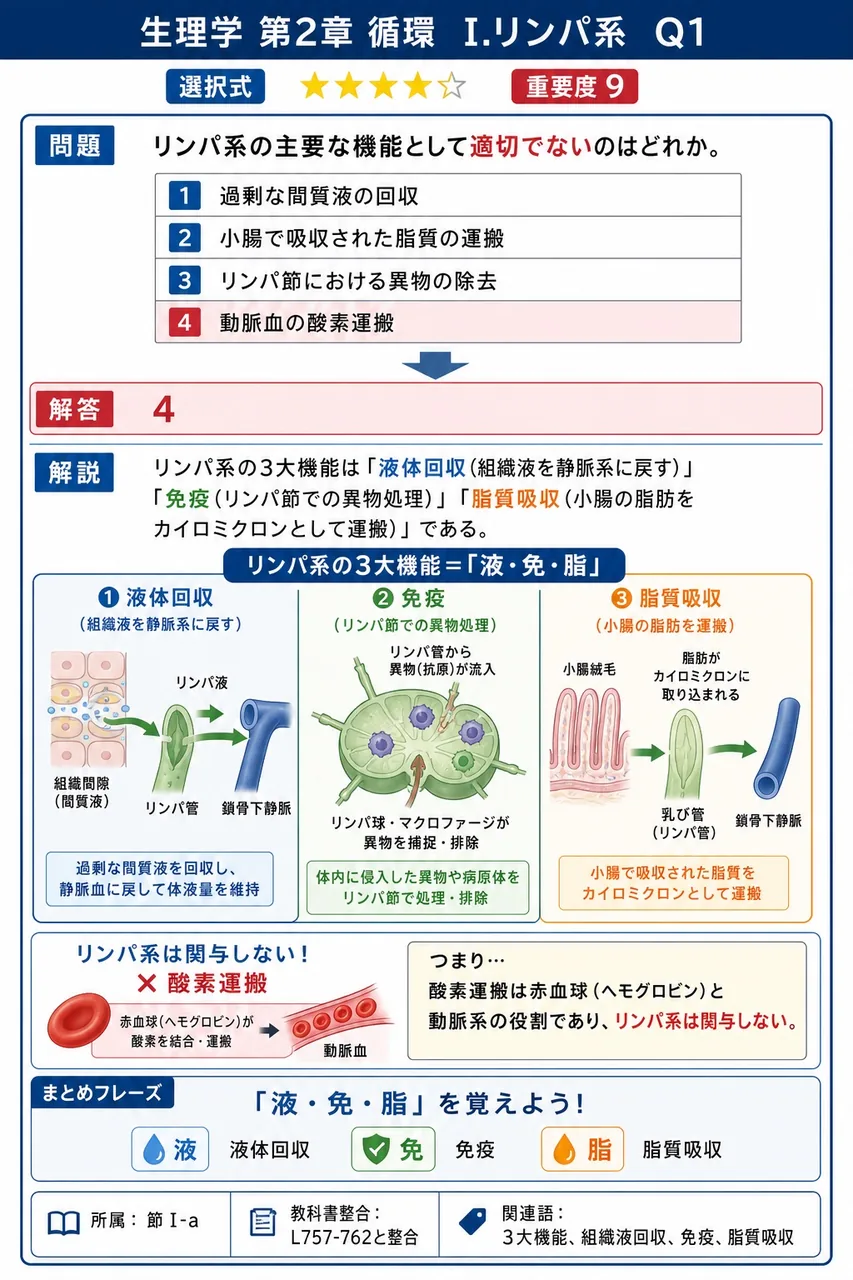 リンパ系の主要な機能として適切でないのはどれか。 解説図