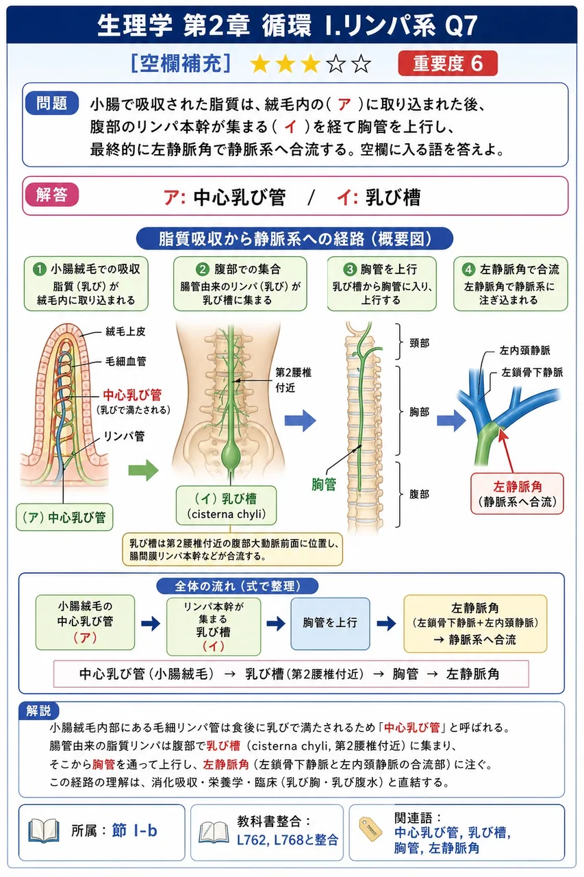 小腸で吸収された脂質は、絨毛内の( ア )に取り込まれた後、腹部のリンパ本幹が集まる( イ )を経て胸管を上行し、最終的に左静脈角で静脈系へ合流する。空欄に入る語を答えよ。 解説図
