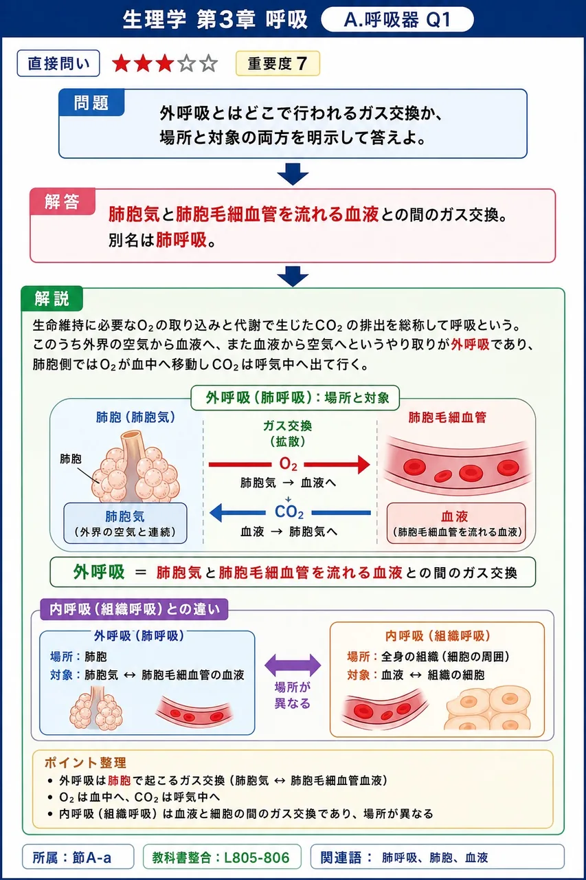 外呼吸とはどこで行われるガス交換か、場所と対象の両方を明示して答えよ。 解説図