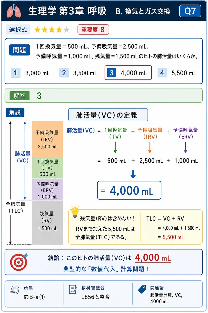 1回換気量=500 mL、予備吸気量=2,500 mL、予備呼気量=1,000 mL、残気量=1,500 mLのヒトの肺活量はいくらか。 解説図
