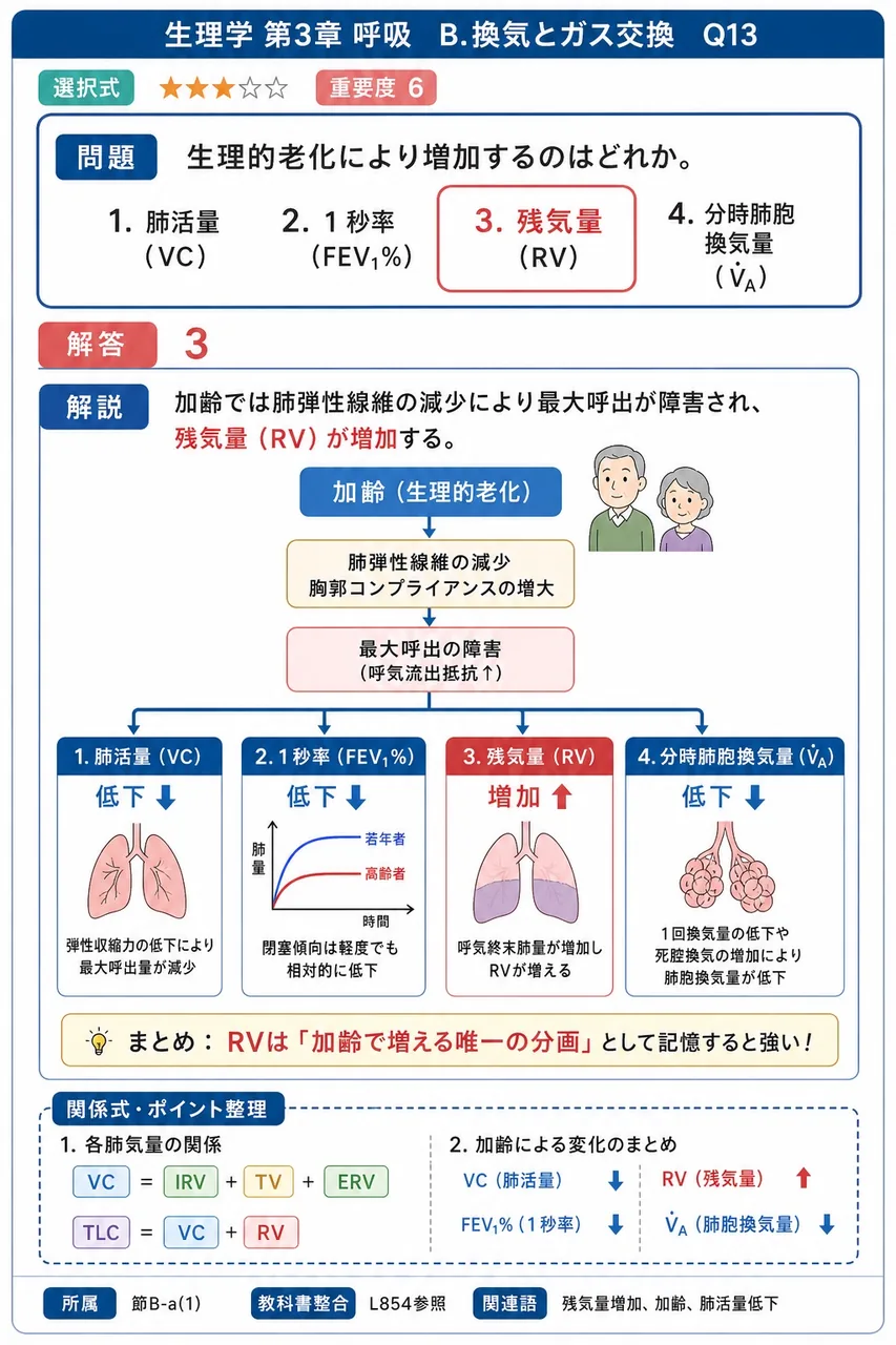 生理的老化により増加するのはどれか。 解説図