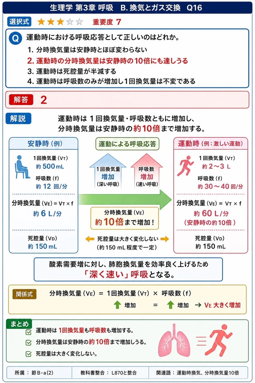 運動時における呼吸応答として正しいのはどれか。 解説図