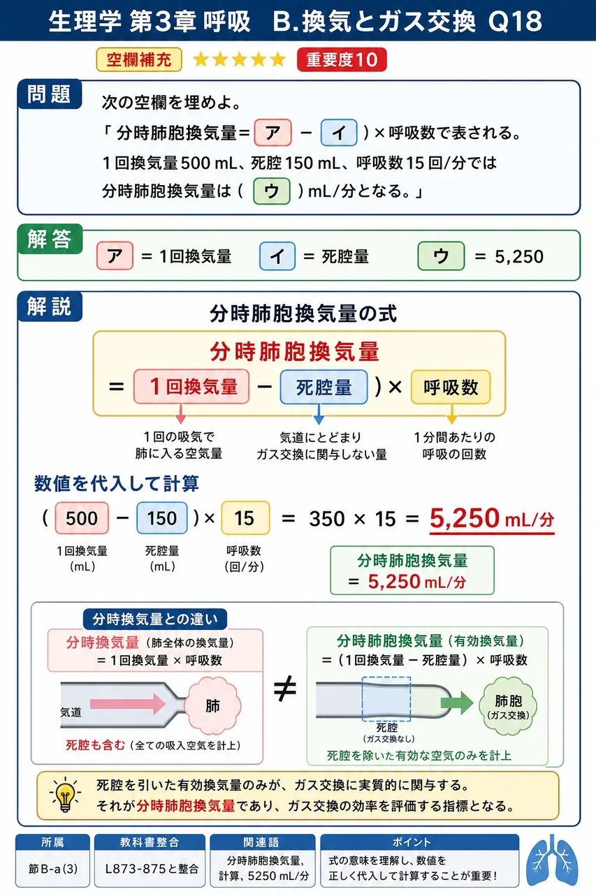 次の空欄を埋めよ。 「分時肺胞換気量=( ア − イ )×呼吸数で表される。1回換気量500 mL、死腔150 mL、呼吸数15回/分では分時肺胞換気量は( ウ )mL/分となる。」 解説図