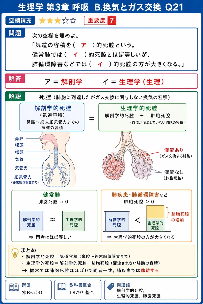 次の空欄を埋めよ。 「気道の容積を( ア )的死腔という。健常肺では( イ )的死腔とほぼ等しいが、肺循環障害などでは( イ )的死腔の方が大きくなる。」 解説図