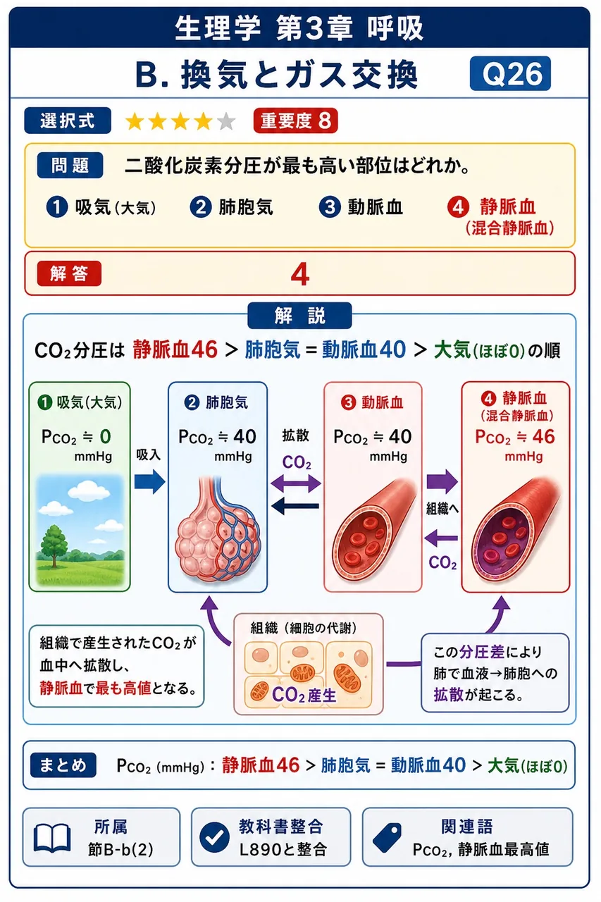 二酸化炭素分圧が最も高い部位はどれか。 解説図