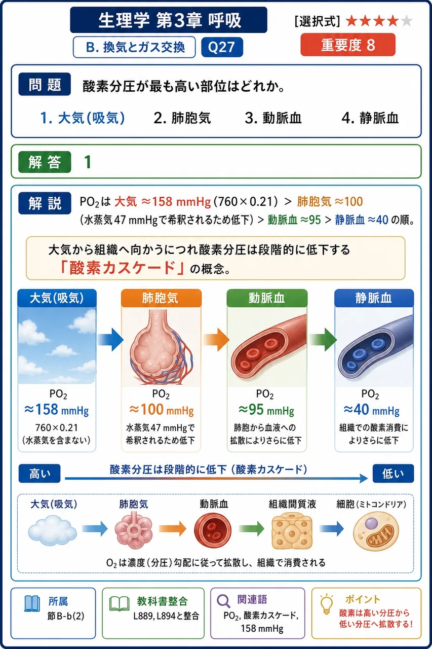 酸素分圧が最も高い部位はどれか。 解説図