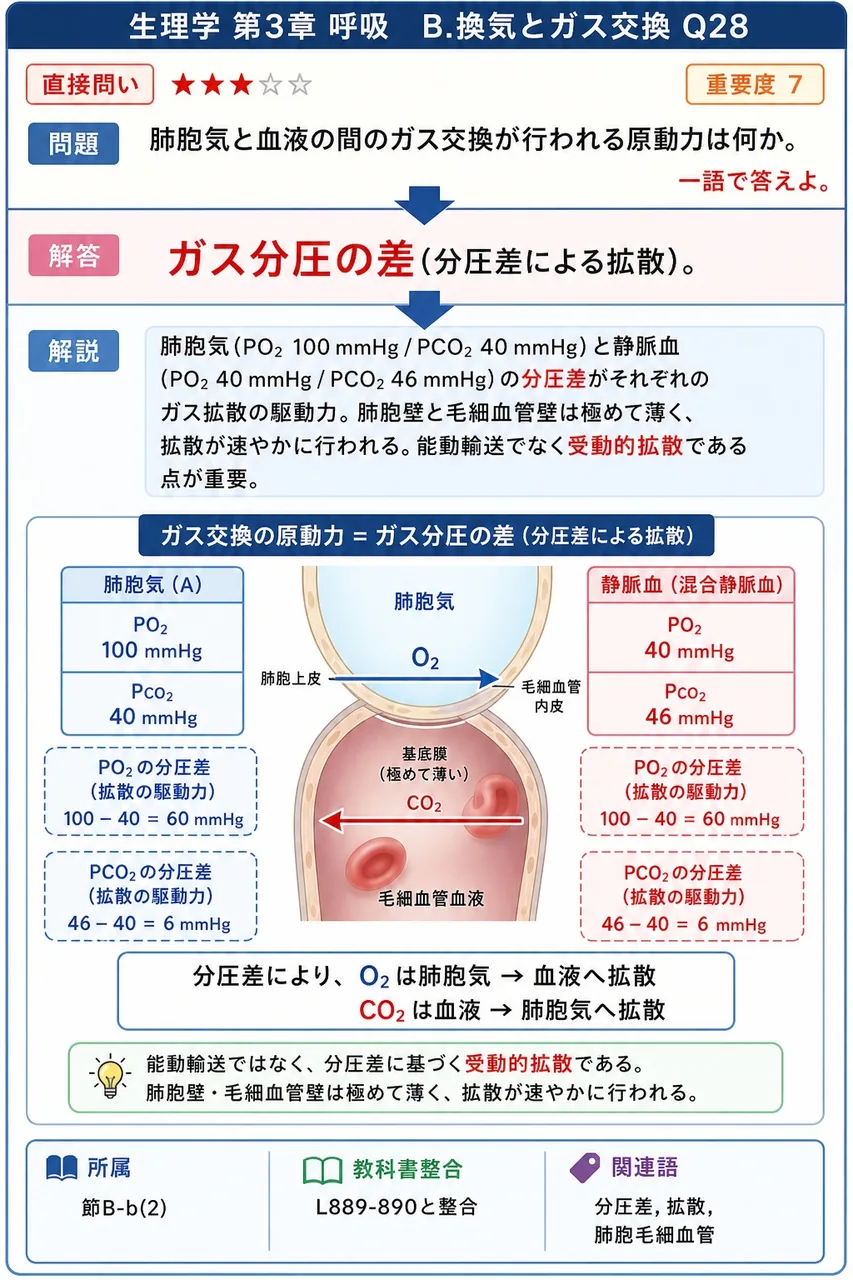 肺胞気と血液の間のガス交換が行われる原動力は何か。一語で答えよ。 解説図