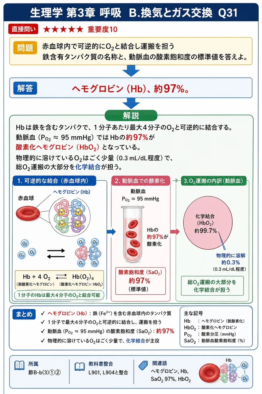 赤血球内で可逆的にO₂と結合し運搬を担う鉄含有タンパク質の名称と、動脈血の酸素飽和度の標準値を答えよ。 解説図