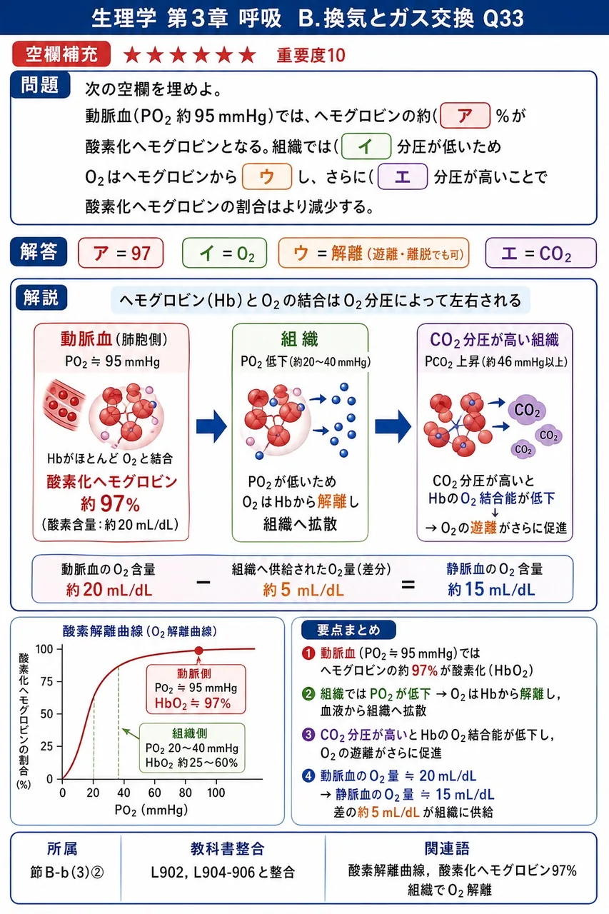次の空欄を埋めよ。 「動脈血(PO₂ 約95 mmHg)では、ヘモグロビンの約( ア )%が酸素化ヘモグロビンとなる。組織では( イ )分圧が低いためO₂はヘモグロビンから( ウ )し、さらに( エ )分圧が高いことで酸素化ヘモグロビンの割合はより減少する。」 解説図