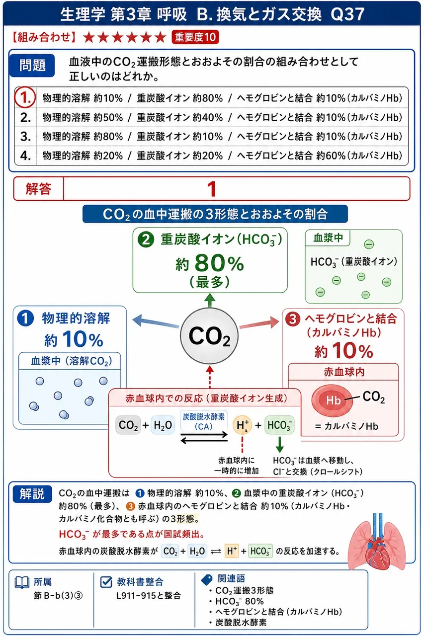 血液中のCO₂運搬形態とおおよその割合の組み合わせとして正しいのはどれか。 解説図