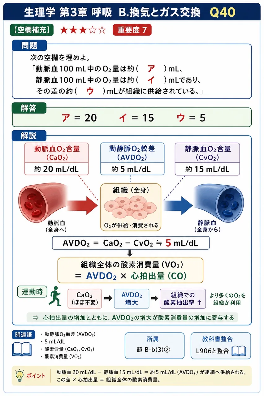 次の空欄を埋めよ。 「動脈血100 mL中のO₂量は約( ア )mL、静脈血100 mL中のO₂量は約( イ )mLであり、その差の約( ウ )mLが組織に供給されている。」 解説図