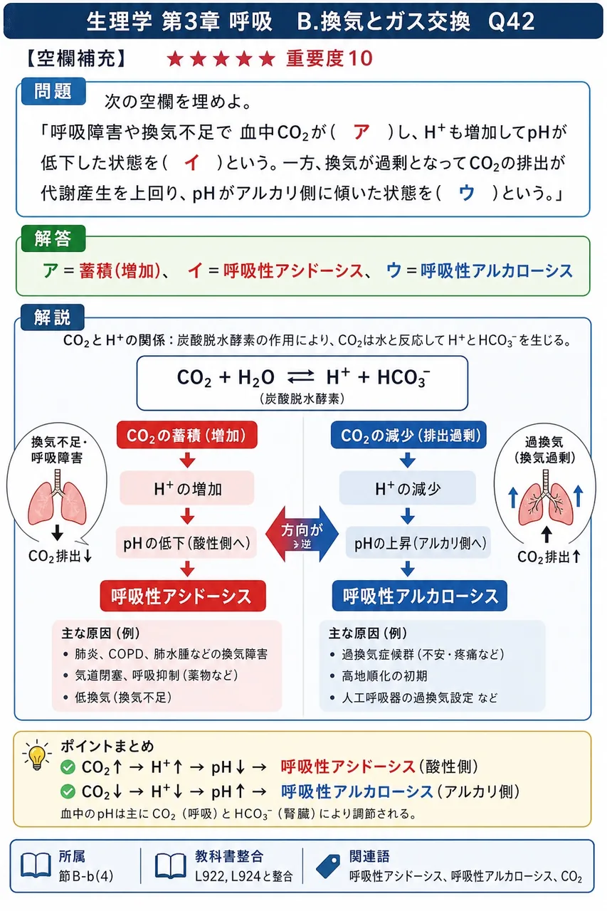 次の空欄を埋めよ。 「呼吸障害や換気不足で血中CO₂が( ア )し、H⁺も増加してpHが低下した状態を( イ )という。一方、換気が過剰となってCO₂の排出が代謝産生を上回り、pHがアルカリ側に傾いた状態を( ウ )という。」 解説図