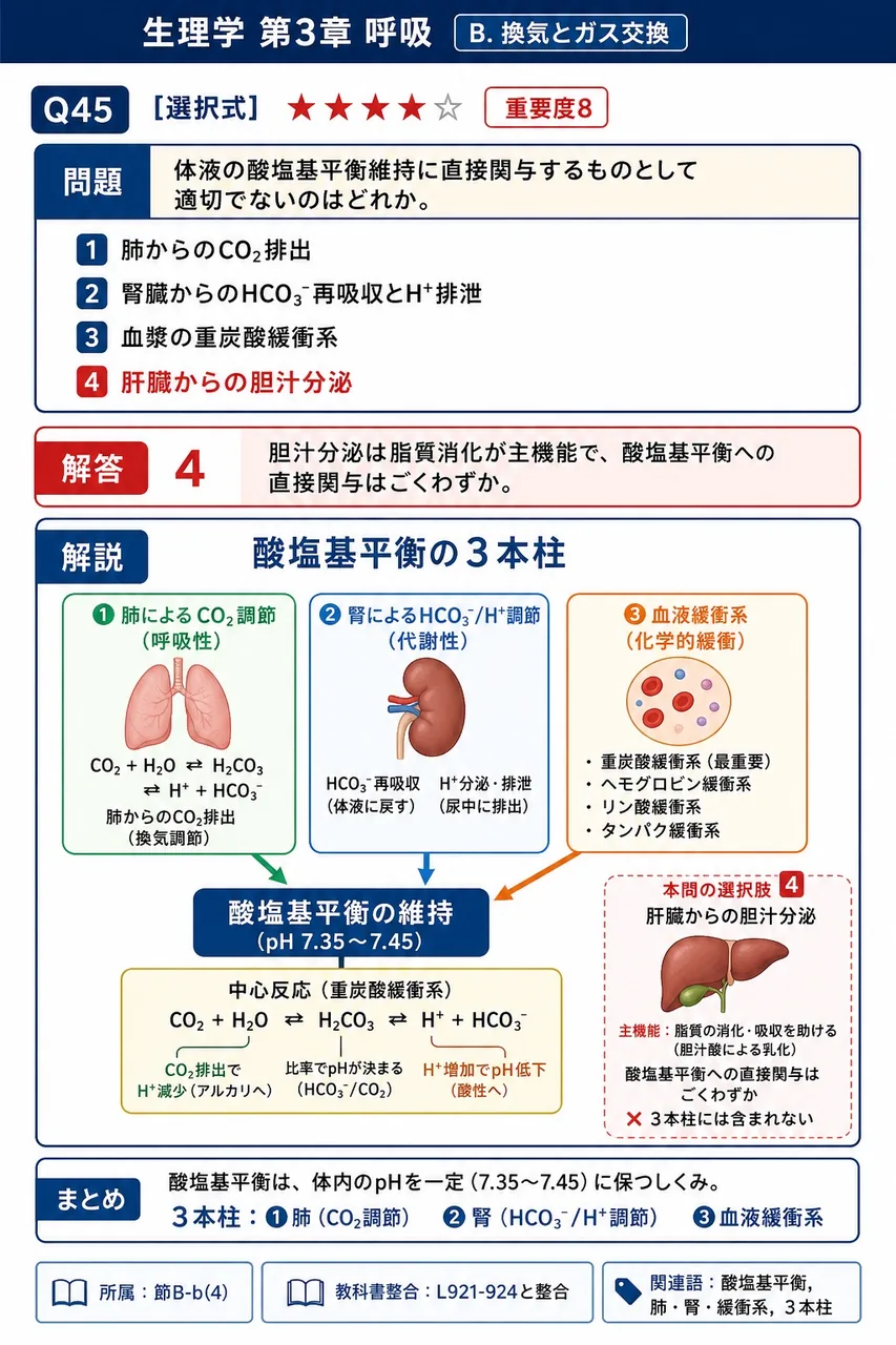体液の酸塩基平衡維持に直接関与するものとして適切でないのはどれか。 解説図