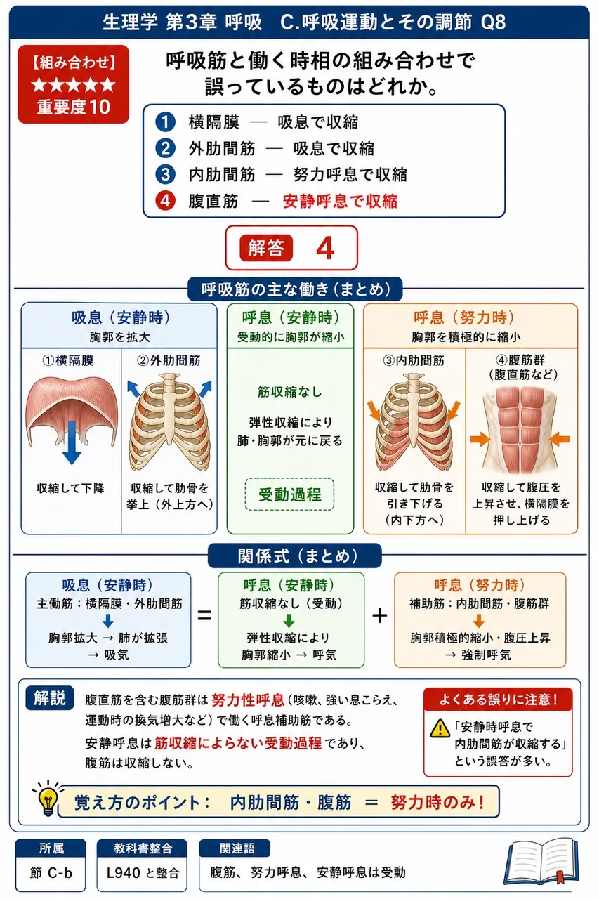 呼吸筋と働く時相の組み合わせで誤っているものはどれか。 解説図