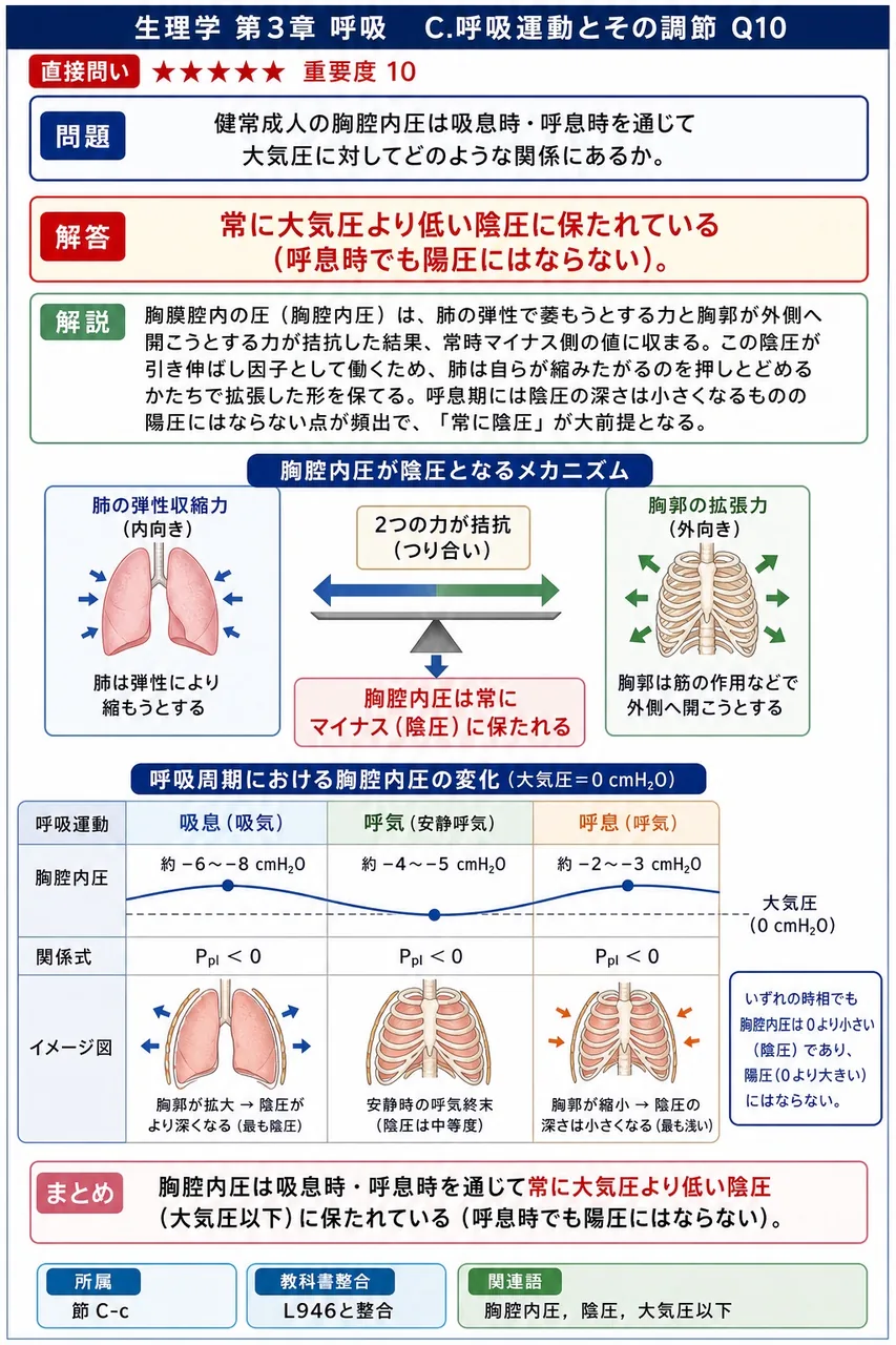 健常成人の胸腔内圧は吸息時・呼息時を通じて大気圧に対してどのような関係にあるか。 解説図