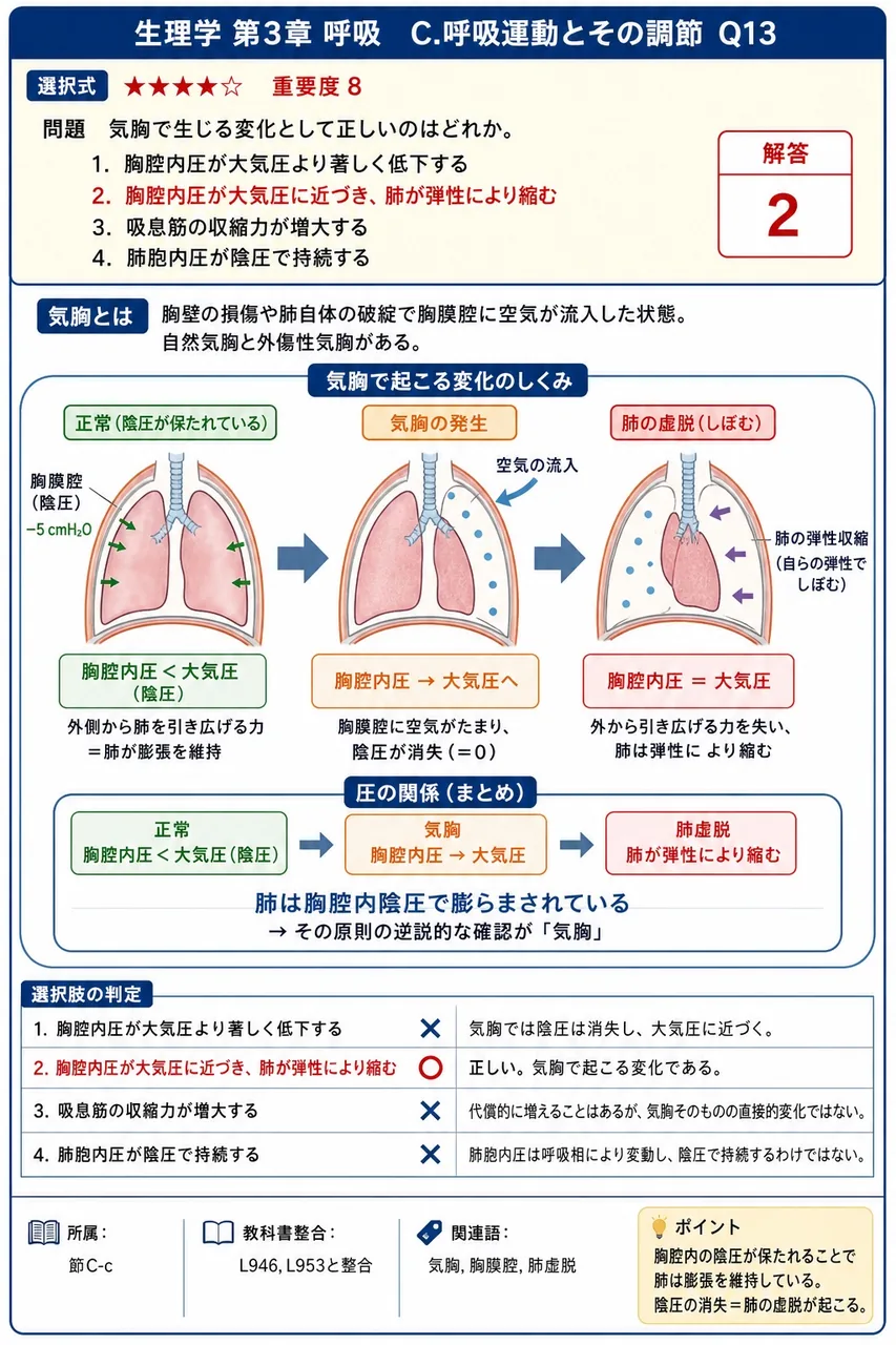 気胸で生じる変化として正しいのはどれか。 解説図