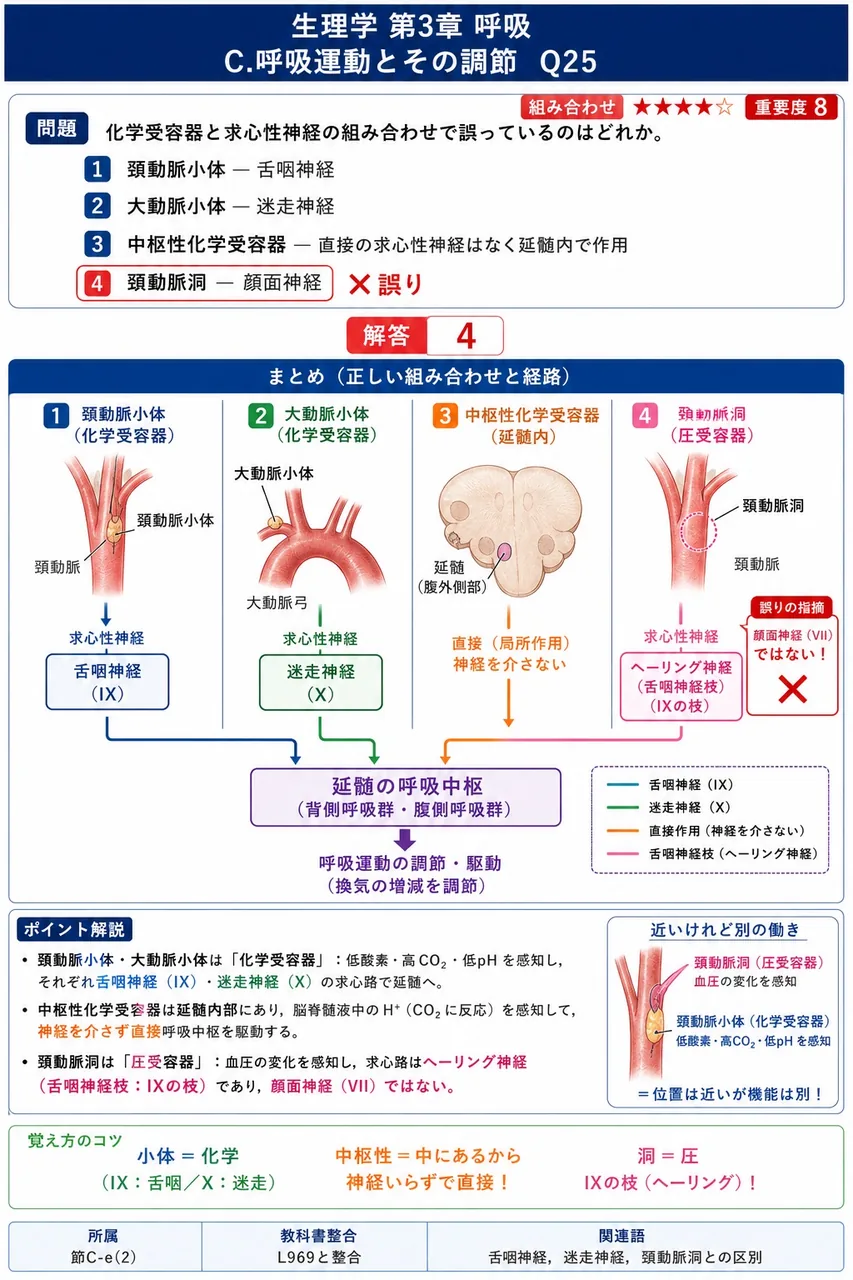 化学受容器と求心性神経の組み合わせで誤っているのはどれか。 解説図