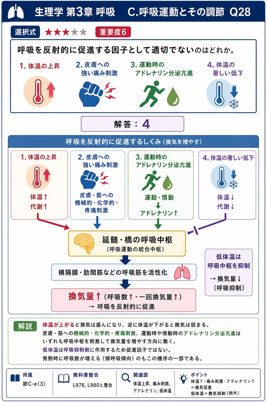 呼吸を反射的に促進する因子として適切でないのはどれか。 解説図