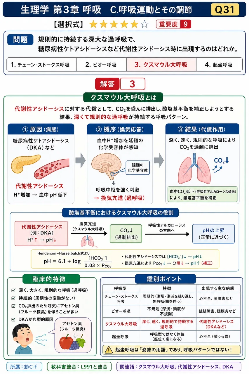 規則的に持続する深大な過呼吸で、糖尿病性ケトアシドーシスなど代謝性アシドーシス時に出現するのはどれか。 解説図