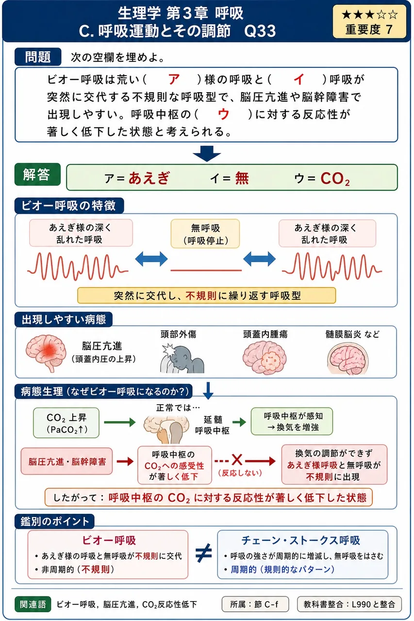 次の空欄を埋めよ。 「ビオー呼吸は荒い( ア )様の呼吸と( イ )呼吸が突然に交代する不規則な呼吸型で、脳圧亢進や脳幹障害で出現しやすい。呼吸中枢の( ウ )に対する反応性が著しく低下した状態と考えられる。」 解説図