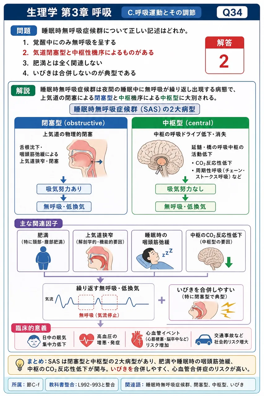 睡眠時無呼吸症候群について正しい記述はどれか。 解説図