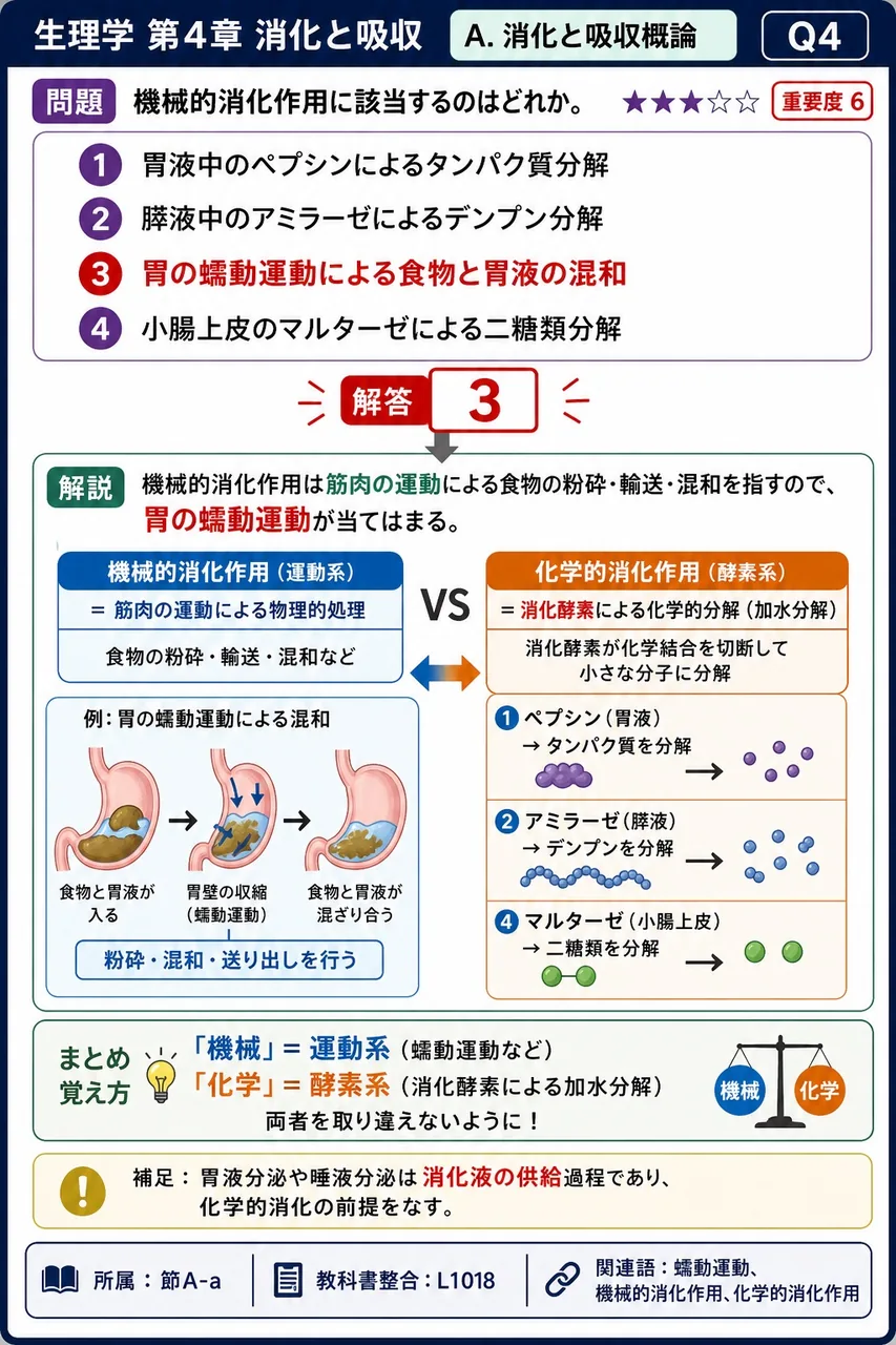 機械的消化作用に該当するのはどれか。 解説図