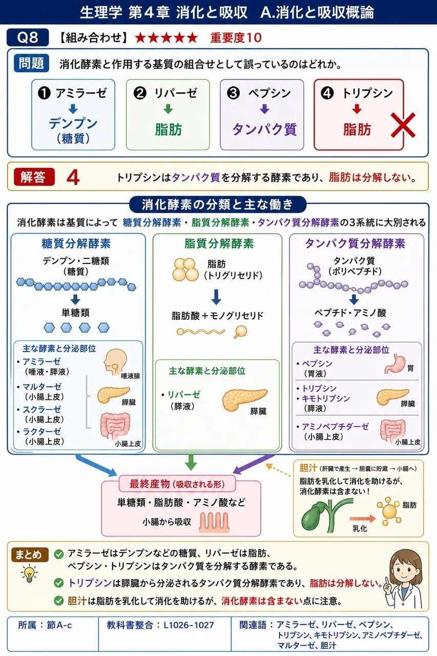 消化酵素と作用する基質の組合せとして誤っているのはどれか。 解説図