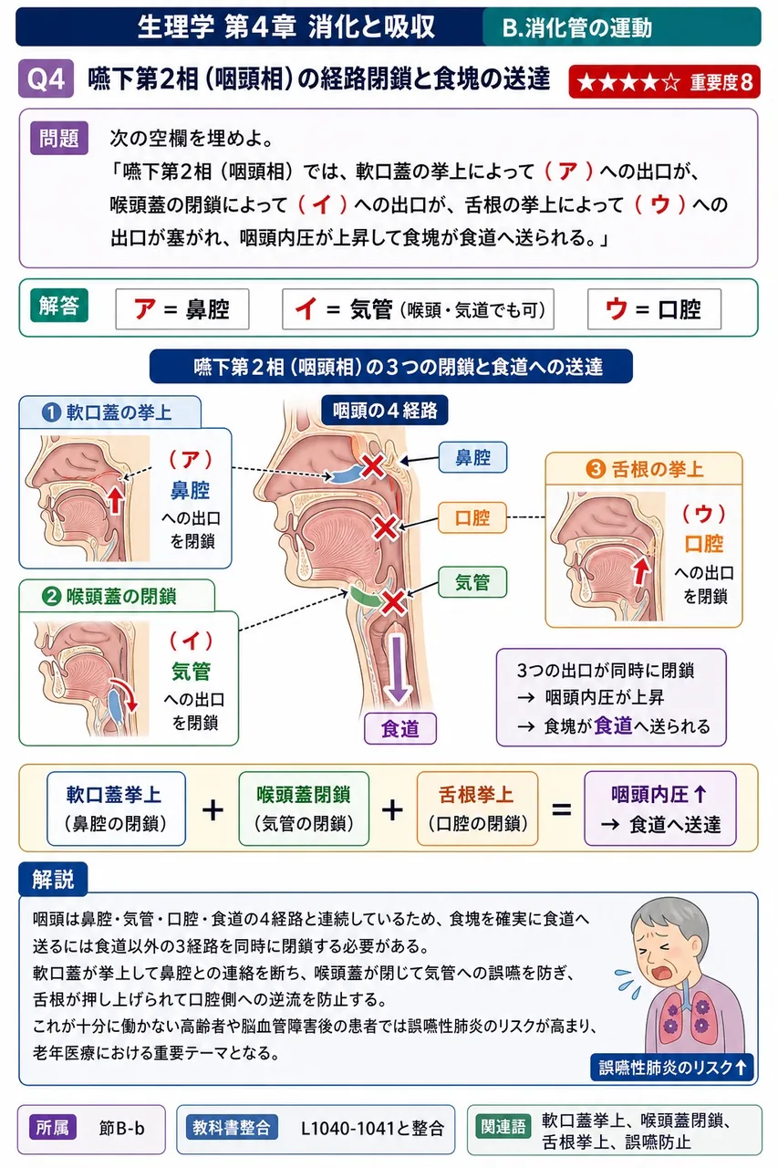 次の空欄を埋めよ。 「嚥下第2相（咽頭相）では、軟口蓋の挙上によって（ア）への出口が、喉頭蓋の閉鎖によって（イ）への出口が、舌根の挙上によって（ウ）への出口が塞がれ、咽頭内圧が上昇して食塊が食道へ送られる。」 解説図