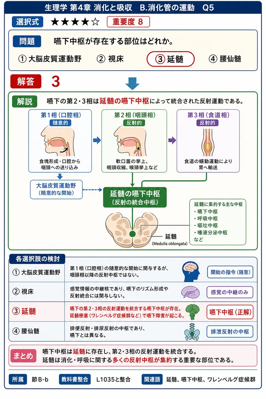 嚥下中枢が存在する部位はどれか。 解説図