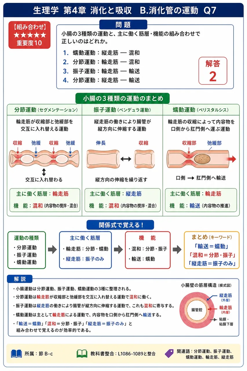 小腸の3種類の運動と、主に働く筋層・機能の組み合わせで正しいのはどれか。 解説図